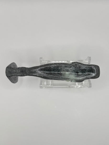 The Shrug- "Baby Orca"