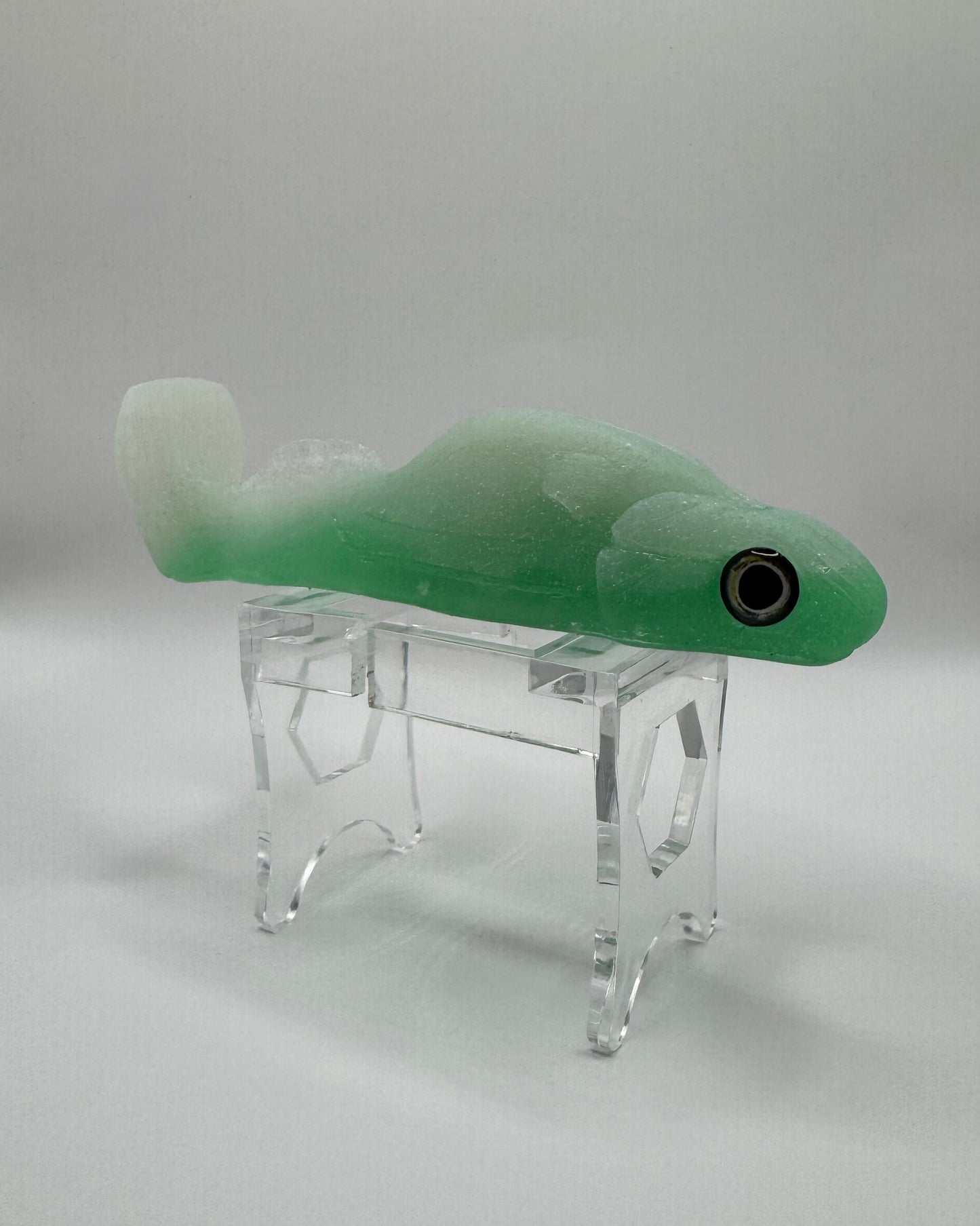 The Shrug- "Gummy Shark"