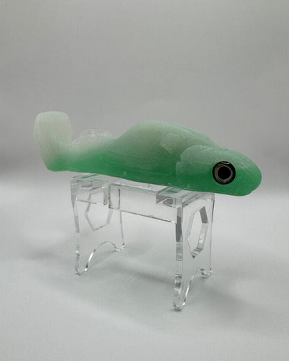 The Shrug- "Gummy Shark"