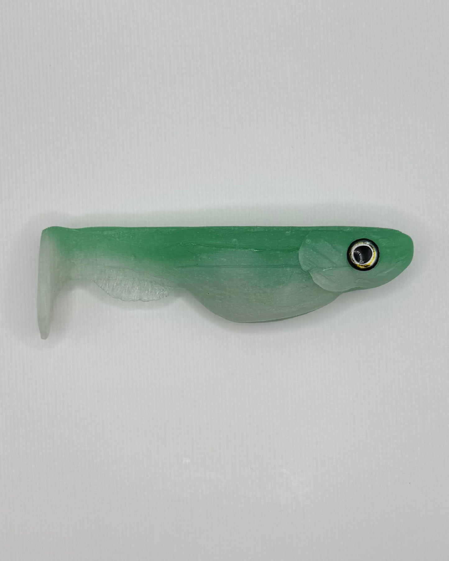 The Shrug- "Gummy Shark"