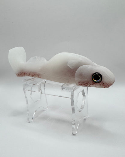 The Shrug- "Snow Berry"