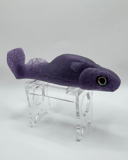 The Shrug- "Space Cowboy"