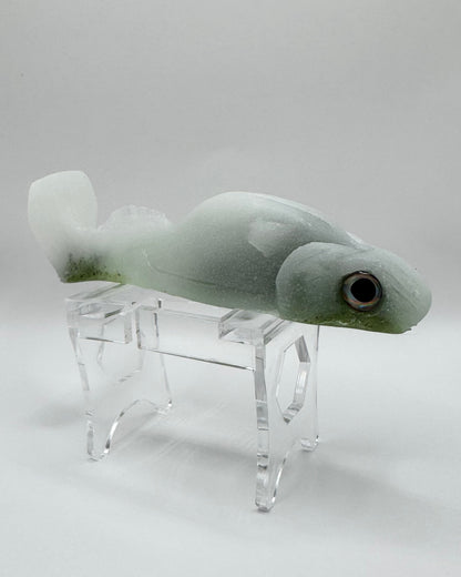 The Shrug- "Cold Shoulder"