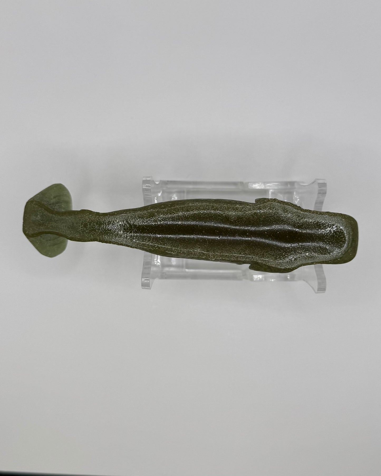 The Shrug- "Day Old Guac"