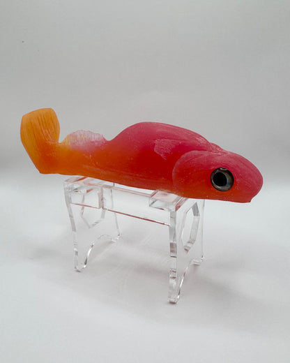 The Shrug- "Hot Tropic"